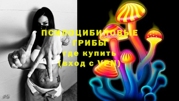 сатива Алексин