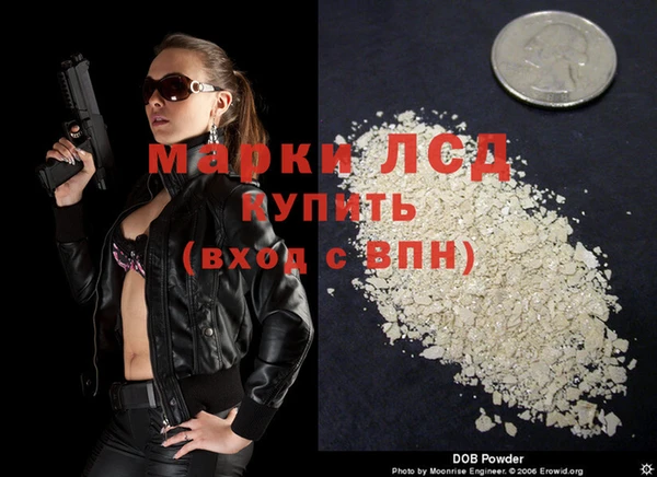 ПСИЛОЦИБИНОВЫЕ ГРИБЫ Елабуга