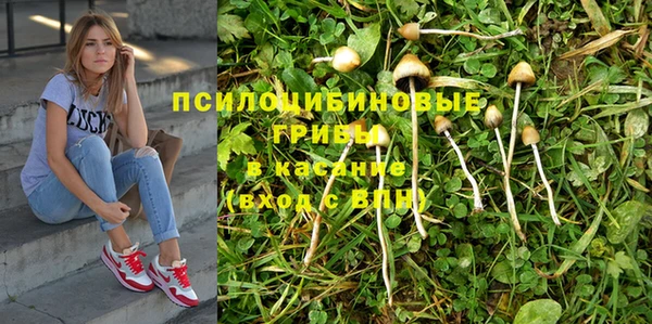 экстази Арсеньев