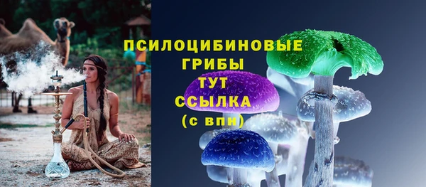 экстази Арсеньев