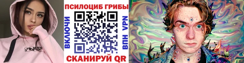 omg рабочий сайт  где купить наркотик  даркнет официальный сайт  Галлюциногенные грибы Psilocybine cubensis  Краснослободск 